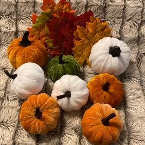 Assorted fall pumpkins with colorful leaves